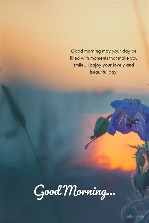 Inspirational Good Morning Quotes And Wishes With Beautiful Tailpic