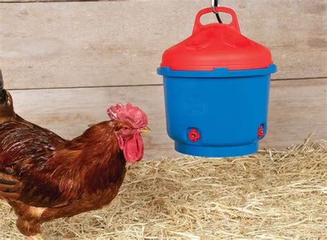 Top 6 Best Heated Chicken Waterer Reviews 2022 Updated Sand Creek Farm