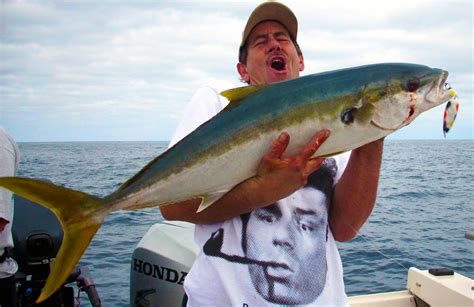 How To Find And Catch California Yellowtail