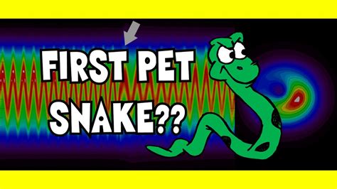 GREAT FIRST PET SNAKES! For Beginners : SnakeHuntersTV ...