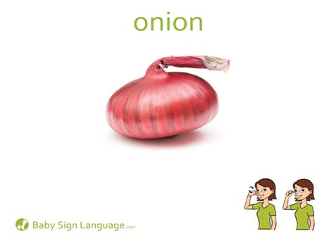 If you think flashcards are boring or if you are looking for some new games to spice things up, then you have come to the right place. Onion
