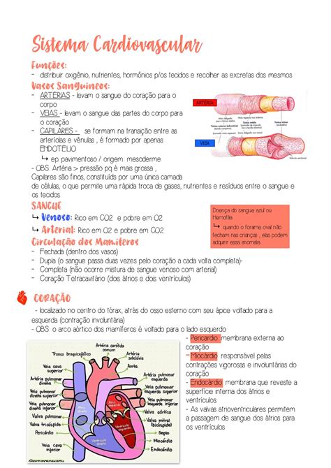Resumo De Sistema Cardiovascular Res Academy