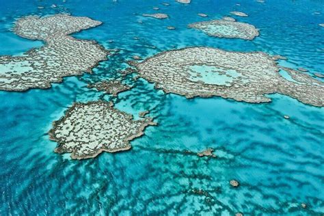 Größtes Korallenriff Der Erde Das Great Barrier Reef In Australien