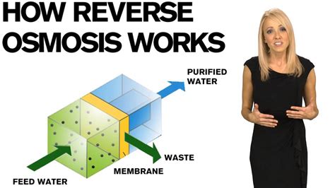 We detail how reverse osmosis water filtration works so that you can understand if this type of water filter is the best for your home water needs. How Reverse Osmosis systems work - YouTube