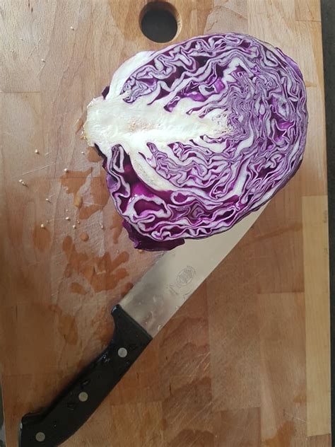 Il suo compatto cespo a palla ha una bellezza pari a quella di molti fiori ed è composto da numerose foglie sovrapposte strato dopo strato. Il cavolo cappuccio rosso - Artigiano del Breakfast
