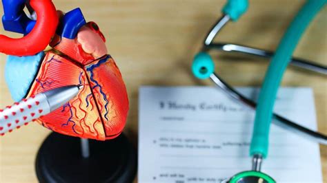 2 Symptoms Of A Leaking Heart Valve Howcast