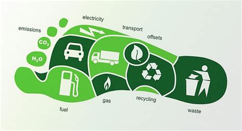 How Can You Reduce Your Carbon Footprint Without Compromising On Your