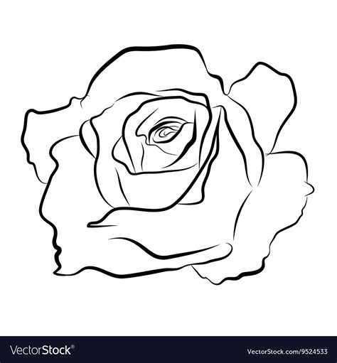 Sketch Line Drawing Of Rose Royalty Free Vector Image