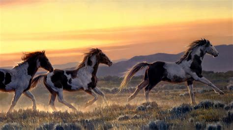 Running Horses On Field With Background Of Yellow And Brown Sky 4k 5k
