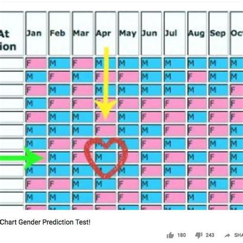 Chinese Gender Prediction Chart Can It Predict Your Baby S Sex Artofit