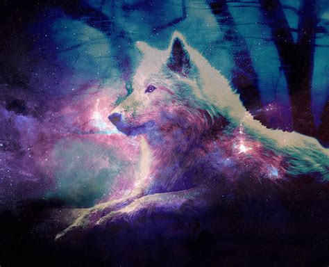 Wolves are animals known for strength and courage. Galaxy Wolf Wallpapers - Top Free Galaxy Wolf Backgrounds ...