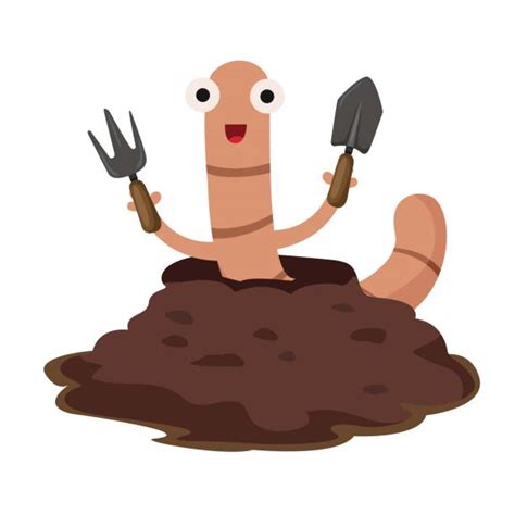 Royalty Free Earthworm Clip Art Vector Images And Illustrations Istock