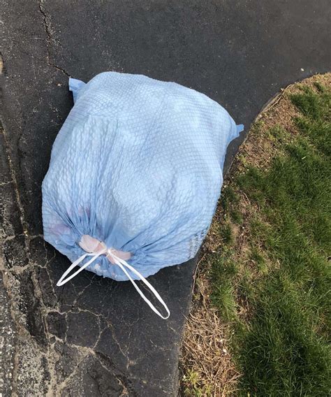 Naticks Got The Trash Bag Blues Again Natick Report