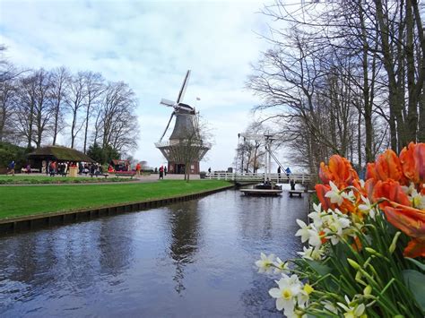 Từ hán việt, chữ nôm: 細說世界SeeSaw: 荷蘭風光 - 鬱金香花園 (庫肯霍夫) Keukenhof,Lisse