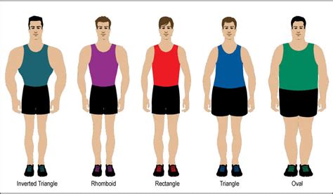 Leg fat may be comprised of different types of fat cells. Ladies: Which Of These Is Your Ideal Male Body Structure ...