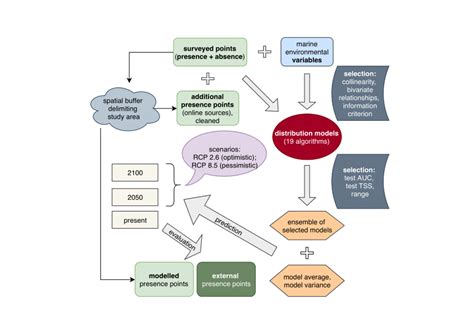 Flowchart Summarizing The Model Building And Evaluation Procedure Rcp Download Scientific