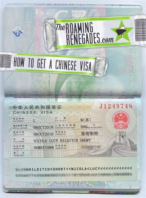 ¿Cuánto cuesta el envío de una visa por DHL? | Guía