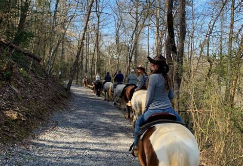 Horseback Riding In The Smoky Mountains My Bear Foot Cabins