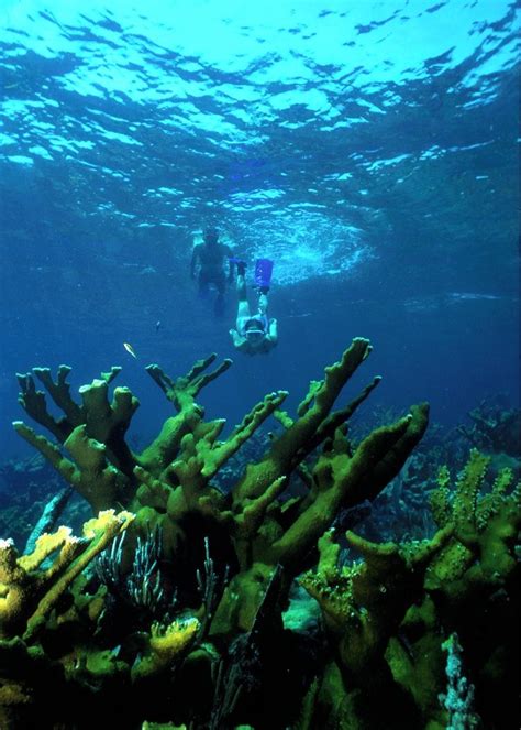 The cheapest way to get from miami airport (mia) to biscayne park costs only $1, and the quickest way takes just 19 mins. Biscayne National Park Florida | National Parks | Biscayne ...
