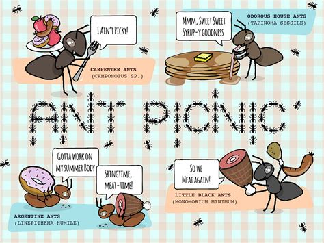 With branches in ga and tn, we offer pest control solutions that protect your home, family, and pets. Bug Busters Do It Yourself - Home | Facebook