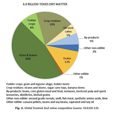 Feed Vs Food How Farming Animals Fuels Hunger A Well Fed World