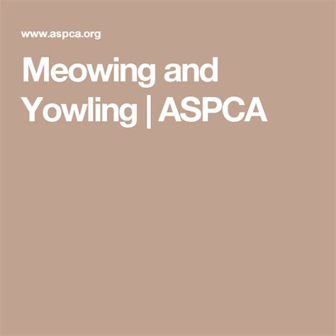 Meowing And Yowling Cat Behavior Pet Care Cat Pee