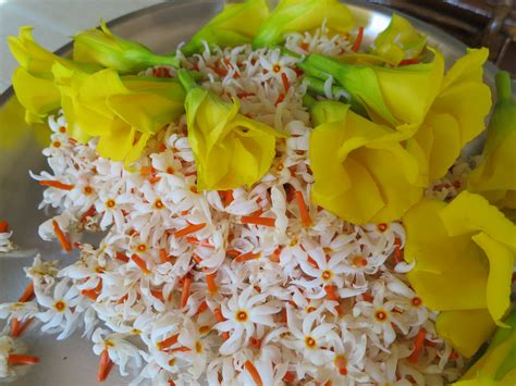 How much do funeral flowers cost? My Panchakarma Life in Rishikesh | One Girl's Adventures