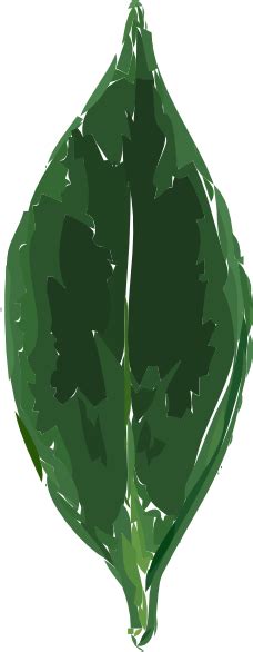 Tea Leaf Clip Art at Clker.com - vector clip art online, royalty free