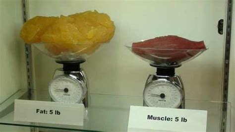 How much does 151 pounds weigh in kilograms? What Five Pounds of Fat Looks Like