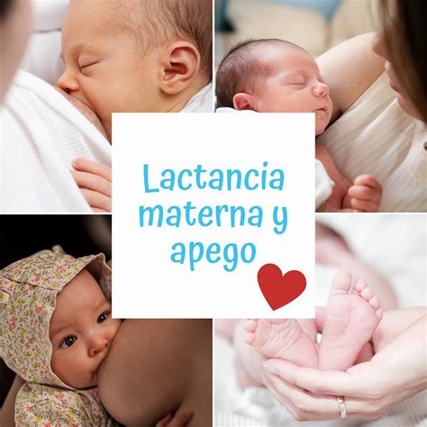 Lactancia Materna Y Apego Dra Sandra Liliana Pabón Rivera