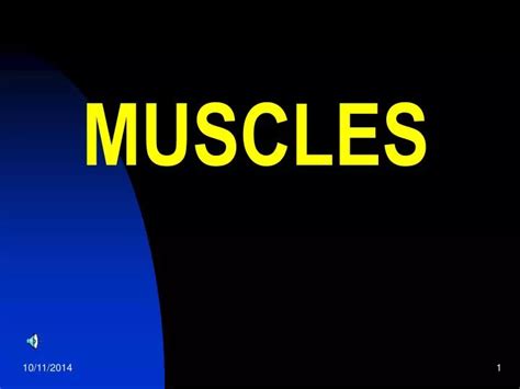 Ppt Muscles Powerpoint Presentation Free Download Id5391760