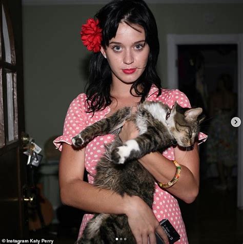 Katy Perry Shares The Heartbreaking News That Her Beloved Cat Kitty