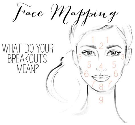 Face Mapping Your Emotions And The Breakouts We Loathe Face Mapping