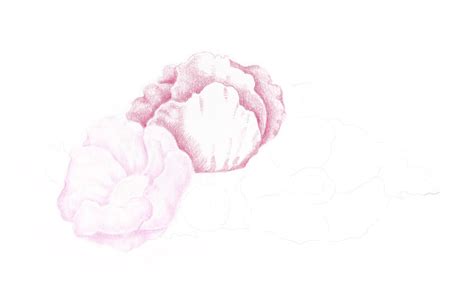 Learn Colored Pencil Techniques and How to Create a Trio ... Dover color your own great flower paintings !!.pdf.