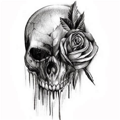 Rose Flower And Skull Black And White Tattoo Design Idea Skull Rose