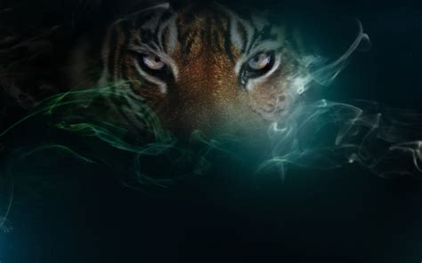 72 Cool Tiger Backgrounds