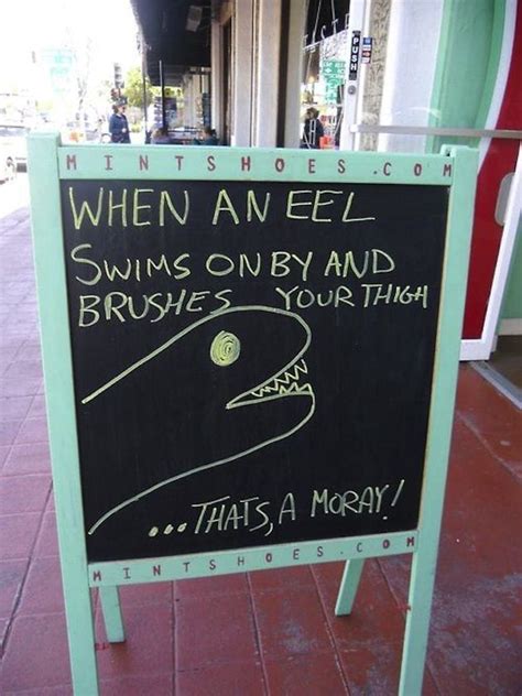 These Clever Sandwich Board Signs Are Funny Af A Moray Memes