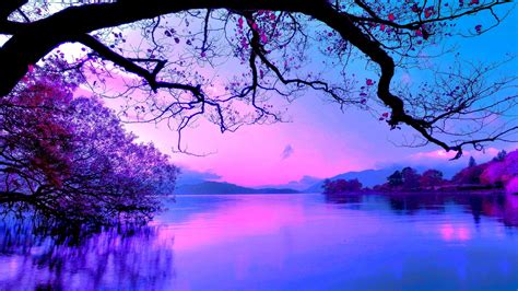 Beautiful Purple Sky And Trees With Reflection On Body Of Water 4k Hd