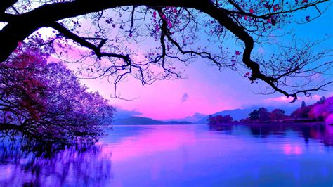 Beautiful Purple Sky And Trees With Reflection On Body Of