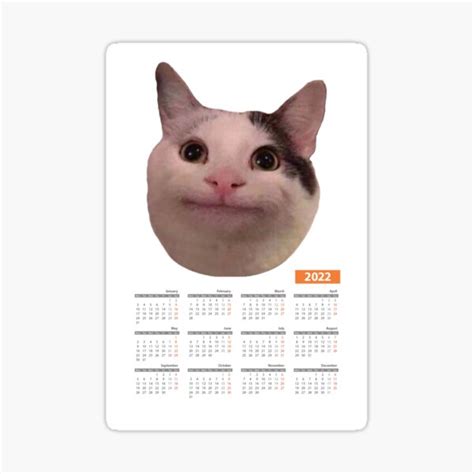 Beluga Cat Calendar 2022 Sticker For Sale By Mo91 Redbubble
