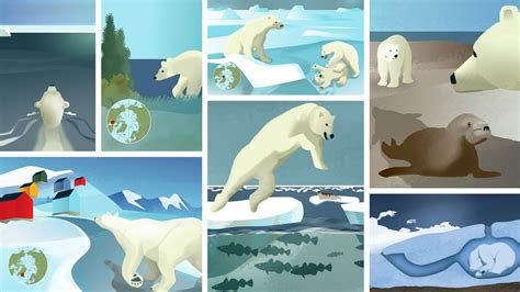 As Sea Ice Changes So Do Polar Bears Wwf Arctic