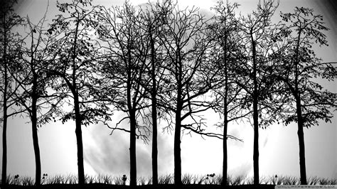 14 Forest Silhouette Tree Vector Images Forest Tree Silhouette Tree