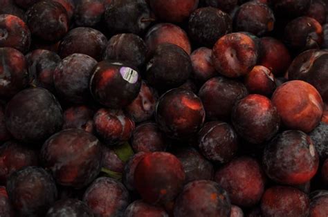 The community food bank, a nonprofit 501(c)(3) charity, relies on 120 employees and hundreds of community volunteers to ensure that the people of southern arizona have access to the food and programs they need. Volunteer in Tucson: Community Food Bank of Southern Arizona