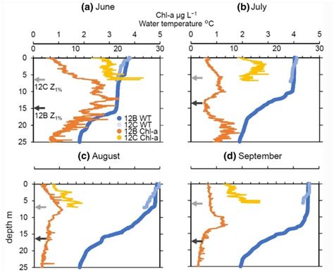 Size Dependent Susceptibility Of Lake Phytoplankton To Light Stress An