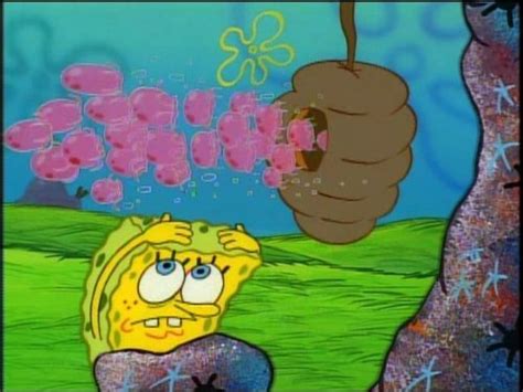 Spongebob Nature Pants Episode