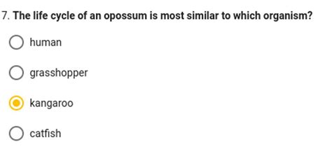 7 The Life Cycle Of An Opossum Is Most Similar To Which Organism Filo