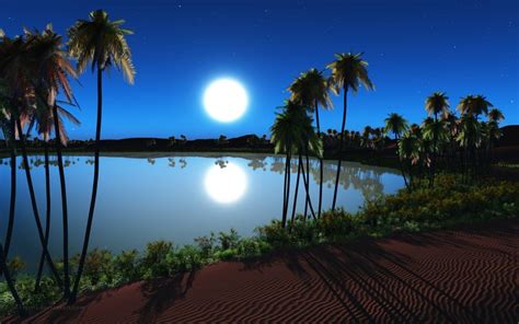 Desert Oasis Wallpapers Top Free Desert Oasis