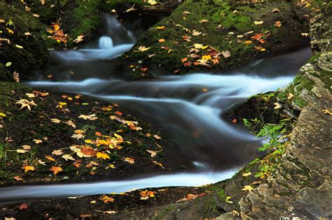 Mountain Stream In Autumn Free Stock Photo Public Domain Pictures