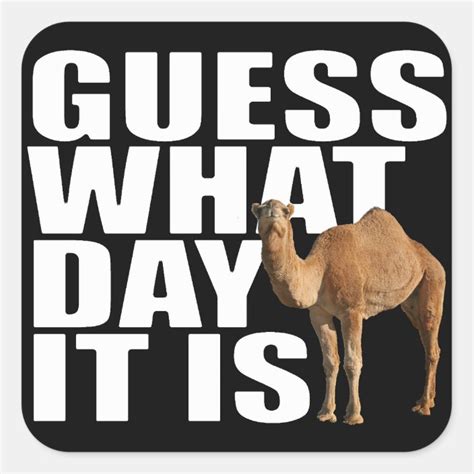 Guess What Day It Is Hump Day Camel Stickers