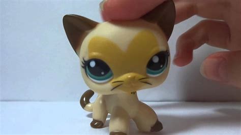 Lps My Brand New Lps Shorthair Cat 3573 Youtube